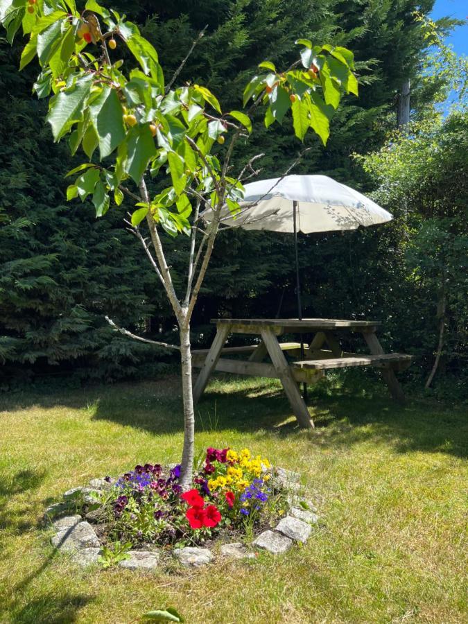 New Forest Hideaway- Self Catering Accommodation Newbridge  Esterno foto