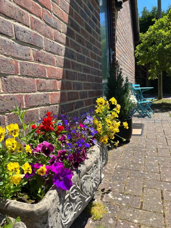 New Forest Hideaway- Self Catering Accommodation Newbridge  Esterno foto